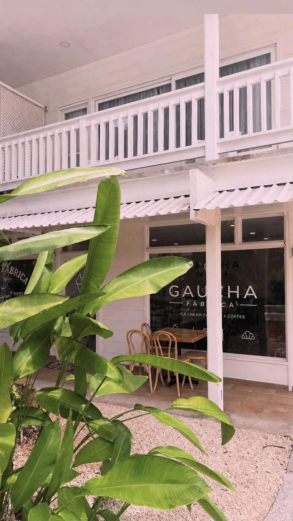 Gaucha
